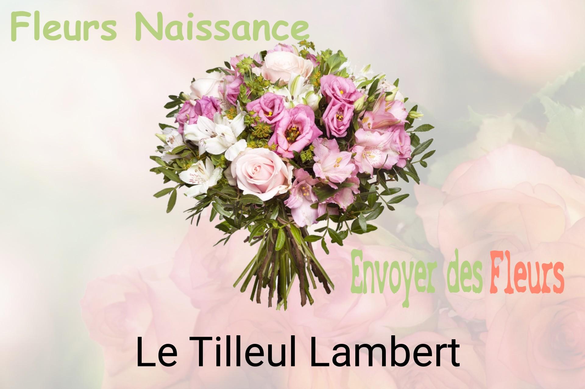Bouquet de fleurs de naissance livré à Le Tilleul-Lambert